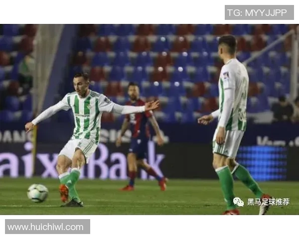 墨尔本骑士U20对阵布琳狮子精彩赛事回顾与分析 墨尔本骑士U20对阵布琳狮子精彩赛事回顾与分析